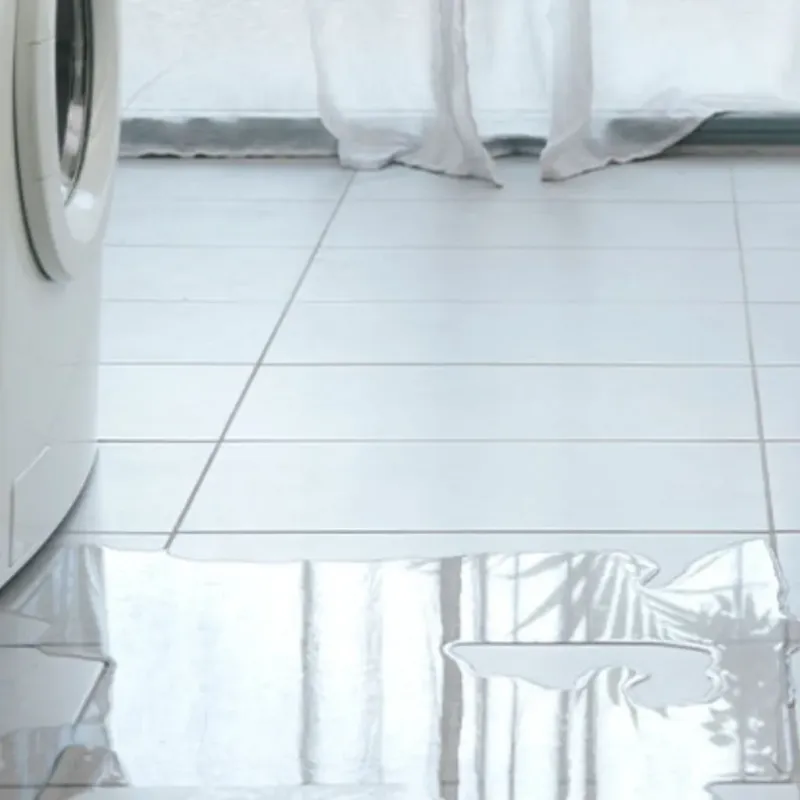 Appliance Leak Cleanup in Hardin, IL