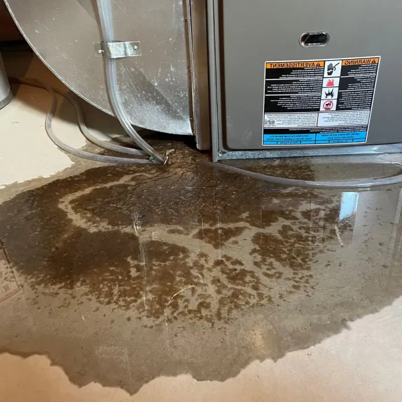 Pipe Burst and Leak Restoration in Hardin, IL