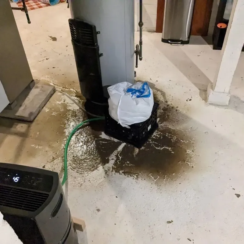 Sewage Backup Cleanup Service in Hardin, IL